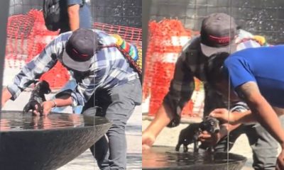 Homem dá banho em filhote de cachorro em fonte na praça