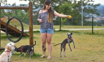 O investimento para a criação dos Espaços Pet é estimado em R$ 2 milhões.