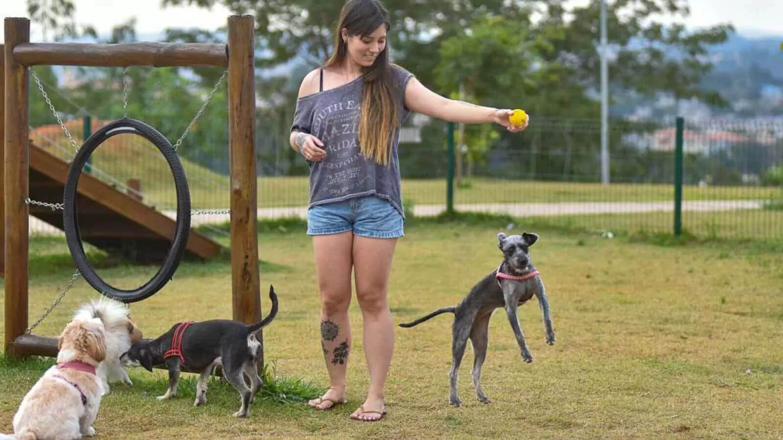 O investimento para a criação dos Espaços Pet é estimado em R$ 2 milhões.