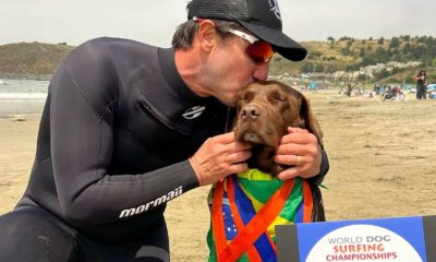 O talento para o surf da labradora brasileira parece correr na família, já que seu pai, Bono, também foi um campeão do campeonato.