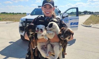 Policial posta foto com filhotes de cachorro abandonados