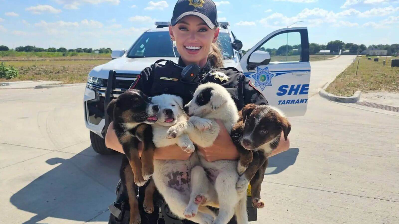 Policial posta foto com filhotes de cachorro abandonados