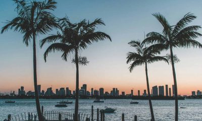 Silhueta de palmeiras ao pôr do sol em frente ao skyline de Miami, representando a temporada na Flórida com clima tropical.