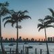 Silhueta de palmeiras ao pôr do sol em frente ao skyline de Miami, representando a temporada na Flórida com clima tropical.