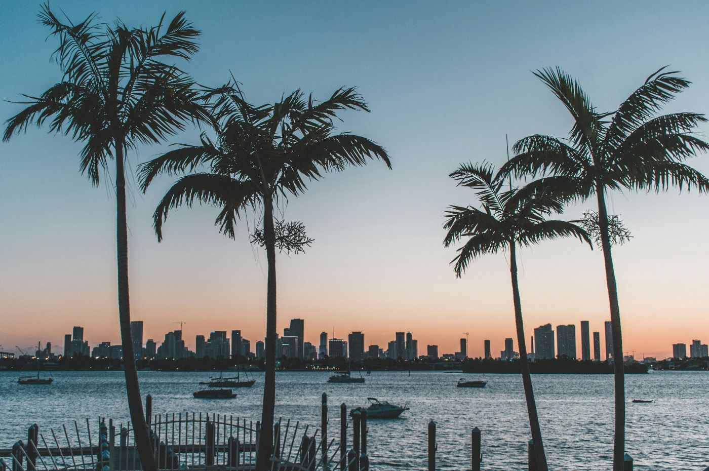 Silhueta de palmeiras ao pôr do sol em frente ao skyline de Miami, representando a temporada na Flórida com clima tropical.