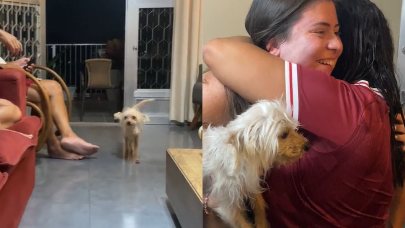 Cachorro surpreende avós com visita