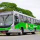 Ônibus Municipal de Campo Limpo Paulista