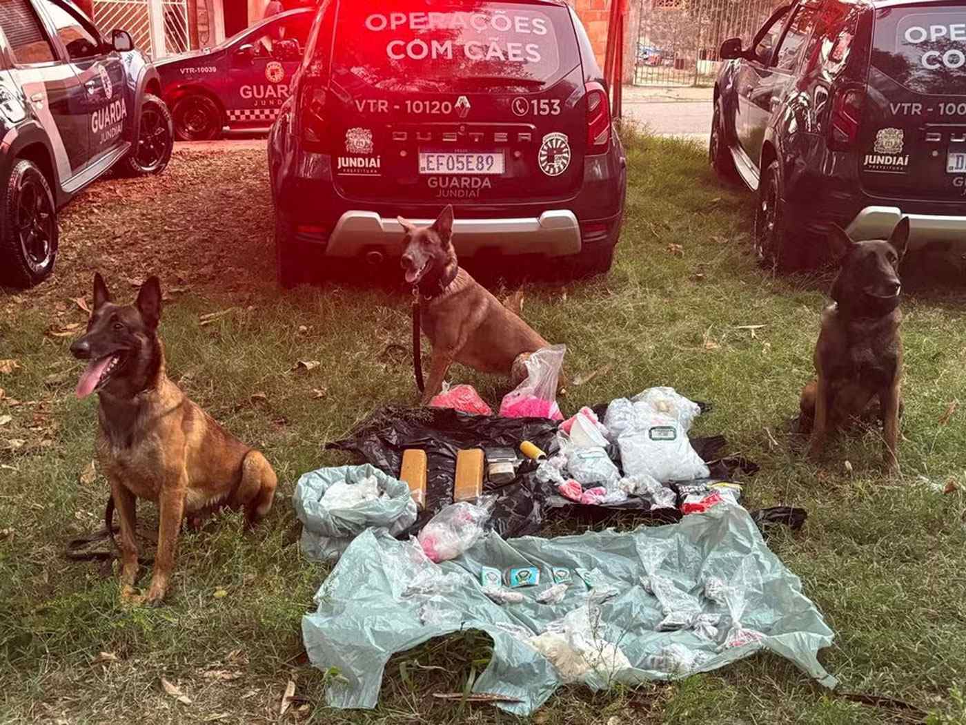 Cães da Guarda Municipal de Jundiaí sentados ao lado de 4,5 kg de drogas apreendidas em operação, com viaturas ao fundo.