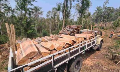 Itupeva flagra ação de crime ambiental.