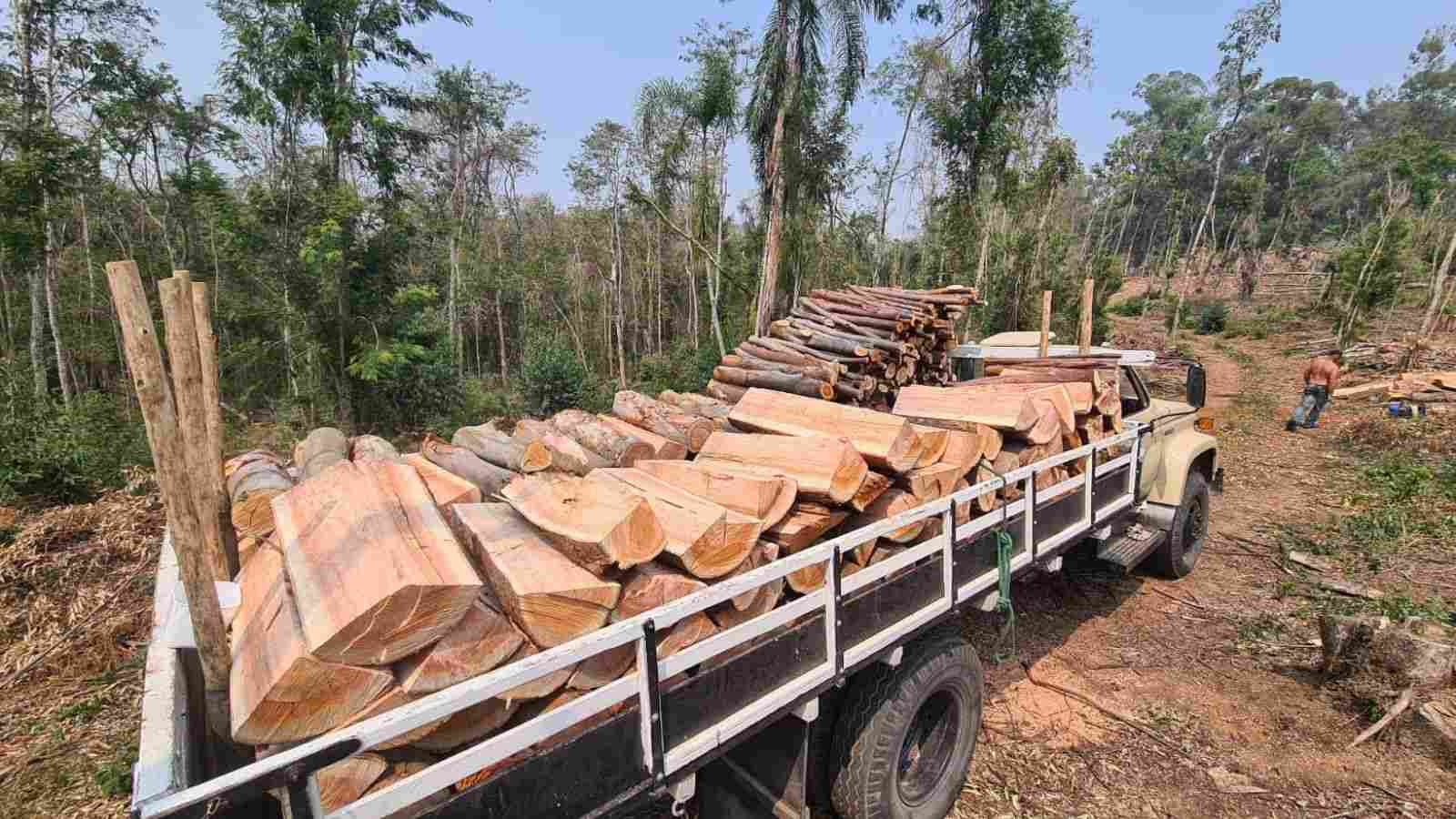 Itupeva flagra ação de crime ambiental.