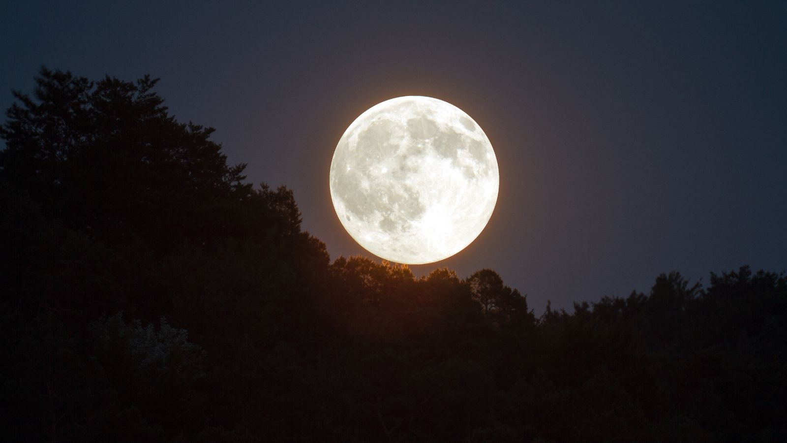 Lua do Caçador