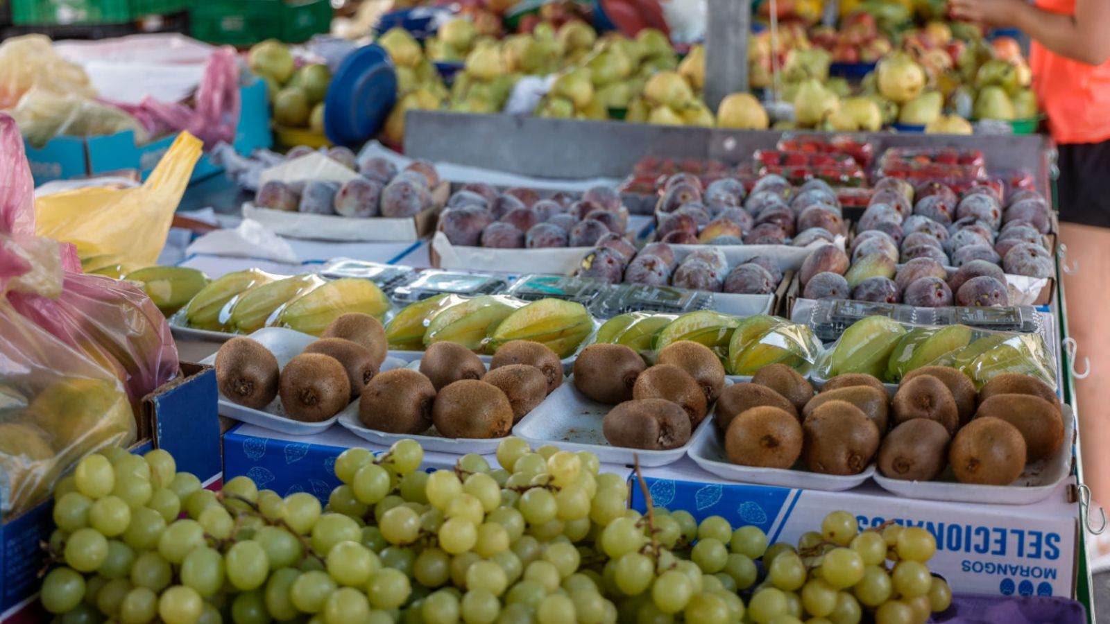 Feira