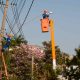 Trabalhadores instalando nova iluminação em vias de Jundiaí.