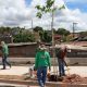 Arborização na Avenida Frederico Ozanan