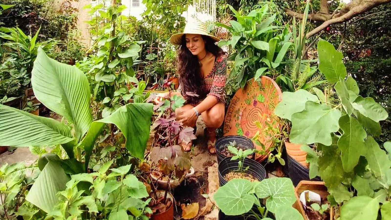 Mulher no meio de plantação, na oficina do Sesc Jundiaí