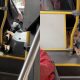 cachorro de motorista de ônibus encanta passageiros