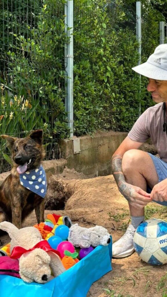 Cachorro de rua gentil leva presentes todos os dias para homem que lhe alimenta