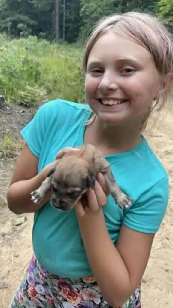 Filhote de cachorro resgatado da floresta está em turnê com Pink