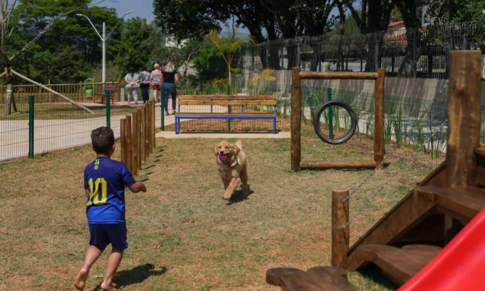 Cachorro e criança em um dos espaços pets de Jundiaí