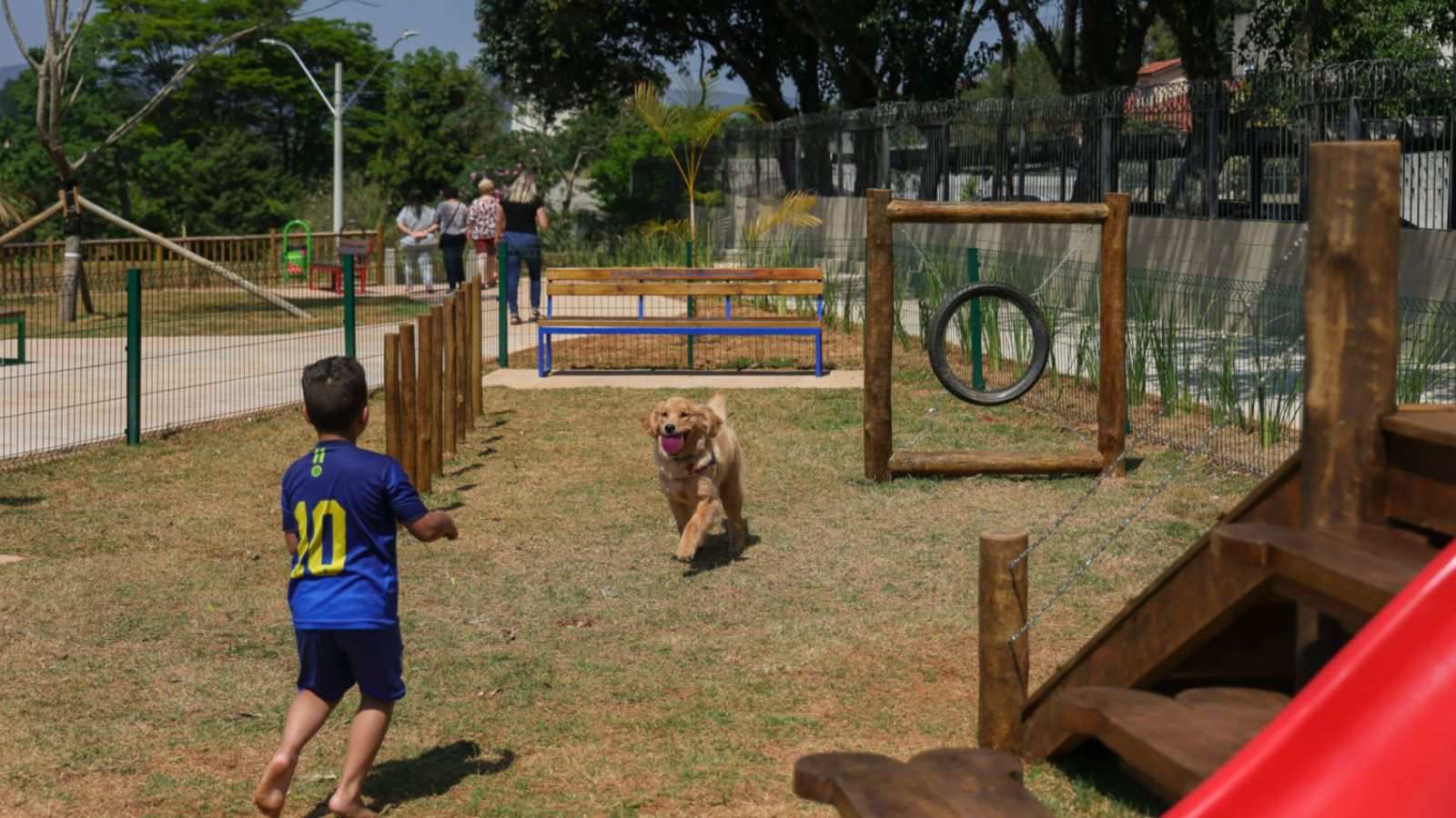 Cachorro e criança em um dos espaços pets de Jundiaí