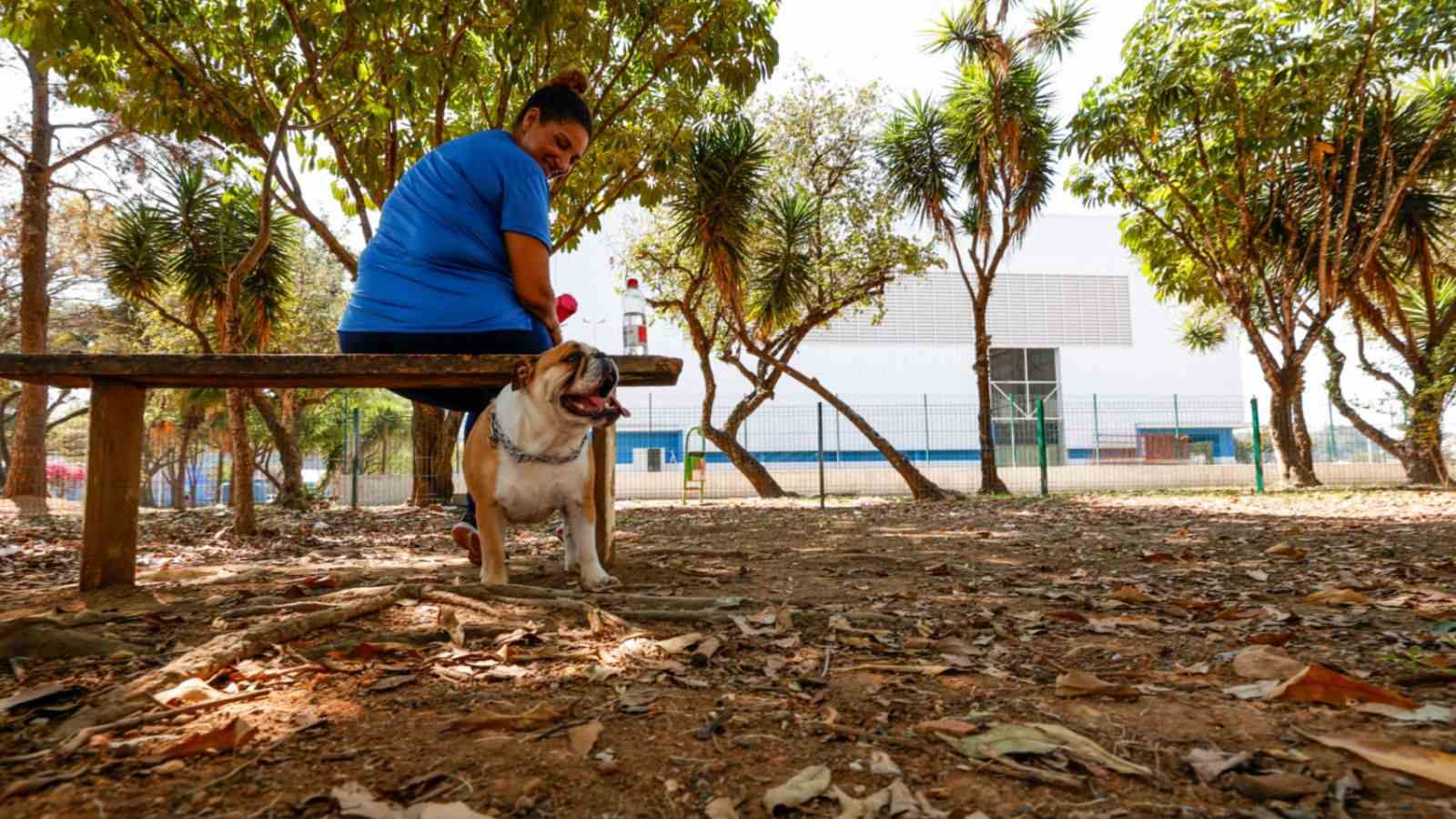 Cachorro e tutora em um dos espaços pets de Jundiaí