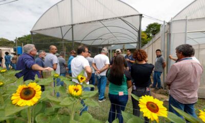 Visitantes no 3º Encontro Técnico sobre Cultivo Protegido