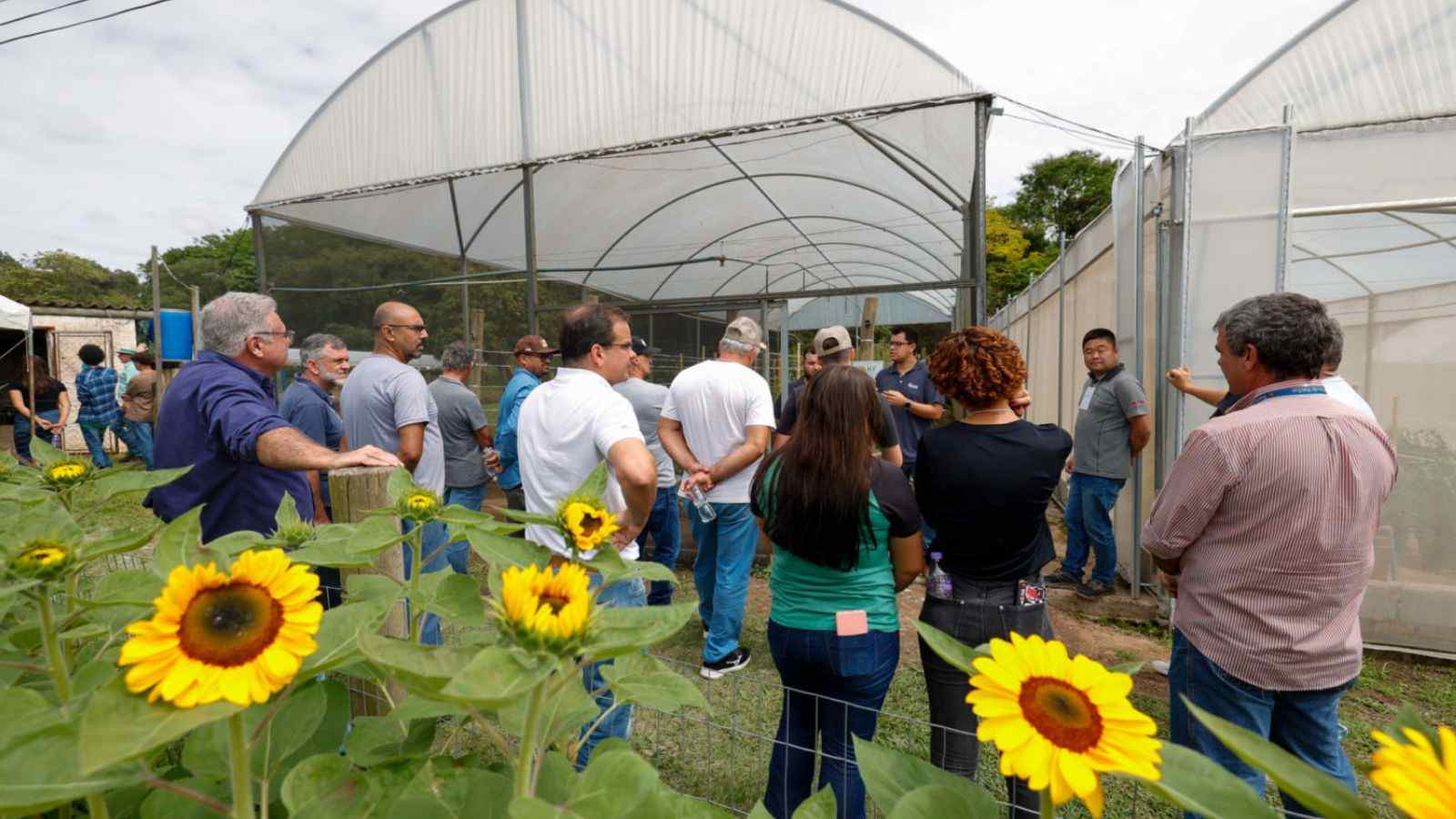 Visitantes no 3º Encontro Técnico sobre Cultivo Protegido