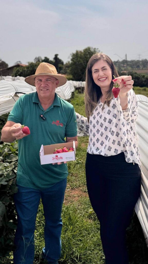 Sítio Fragole inova com plantio suspenso e aposta em turismo rural em Jundiaí