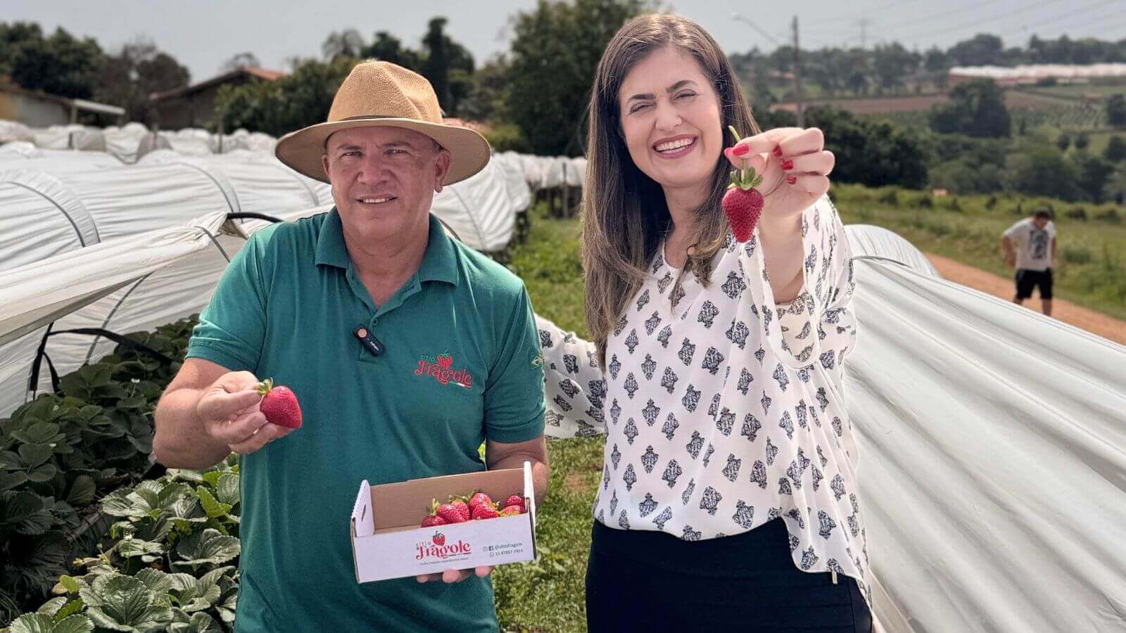 Sítio Fragole inova com plantio suspenso e aposta em turismo rural em Jundiaí