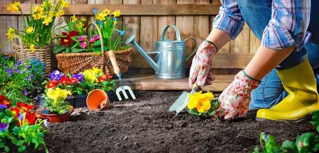 Pessoa cuidando de jardim com flores coloridas e ferramentas, promovendo saúde mental através do contato com a natureza.